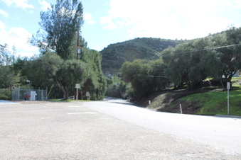Enlarge photo 81