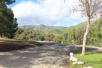 Enlarge photo 85