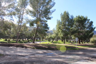 Enlarge photo 86