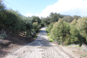 Enlarge photo 88