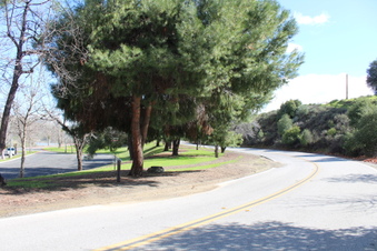 Enlarge photo 92