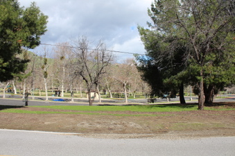 Enlarge photo 94