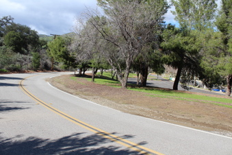 Enlarge photo 102