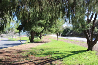 Enlarge photo 103