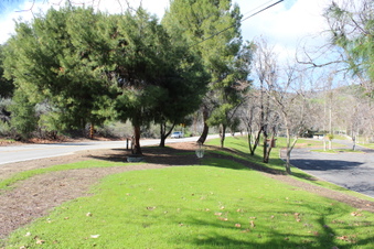 Enlarge photo 104