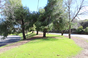 Enlarge photo 105