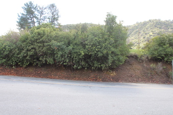 Enlarge photo 110