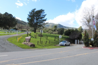 Enlarge photo 113