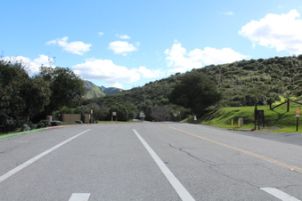 Enlarge photo 114