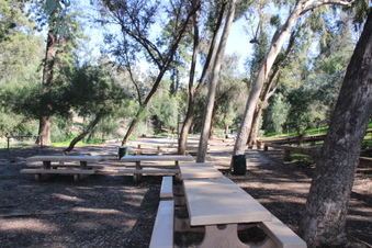 Enlarge photo 9