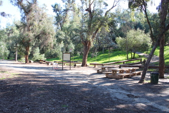 Enlarge photo 15