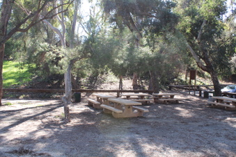Enlarge photo 17
