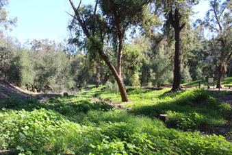 Enlarge photo 21