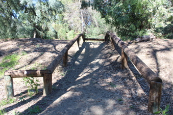Enlarge photo 22