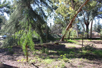 Enlarge photo 25
