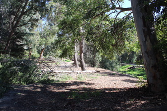 Enlarge photo 24