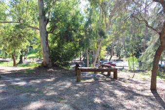 Enlarge photo 26