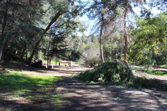 Enlarge photo 27
