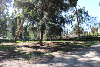 Enlarge photo 28