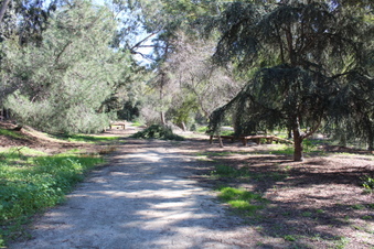 Enlarge photo 29