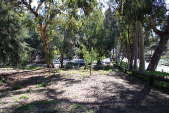 Enlarge photo 30
