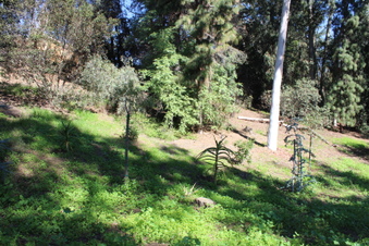 Enlarge photo 31