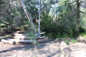 Enlarge photo 34