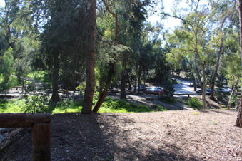 Enlarge photo 33