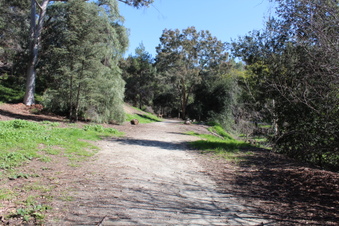 Enlarge photo 35
