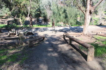 Enlarge photo 54