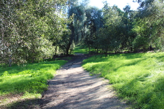 Enlarge photo 55