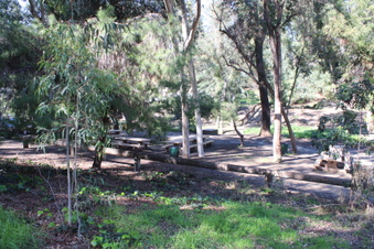 Enlarge photo 56