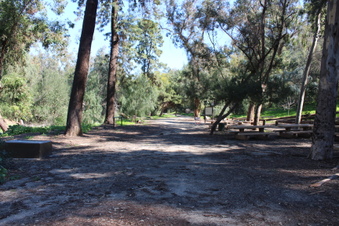 Enlarge photo 57