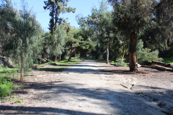 Enlarge photo 58