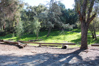 Enlarge photo 59