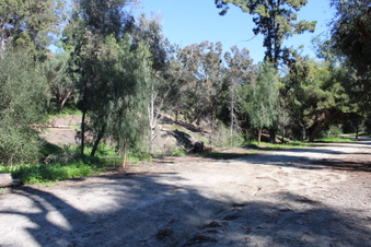 Enlarge photo 61