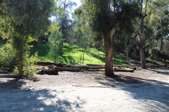 Enlarge photo 62