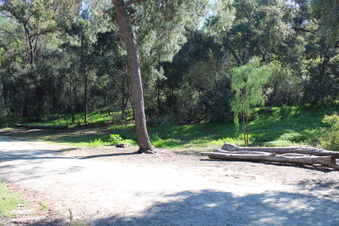 Enlarge photo 63