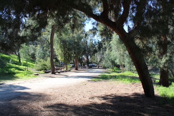 Enlarge photo 64