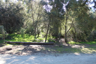Enlarge photo 65