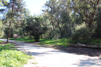 Enlarge photo 66