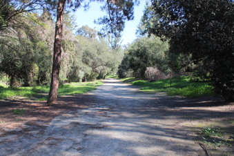 Enlarge photo 67