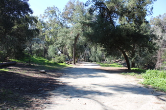 Enlarge photo 68