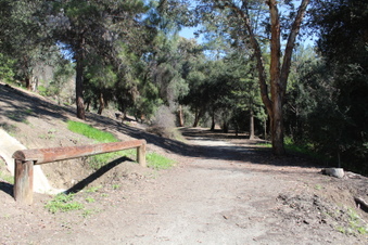 Enlarge photo 37