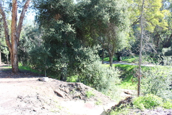 Enlarge photo 36