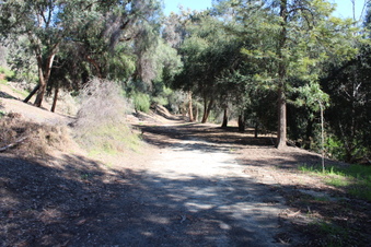 Enlarge photo 38