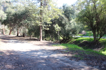 Enlarge photo 39
