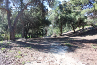 Enlarge photo 40