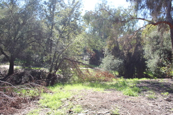 Enlarge photo 41
