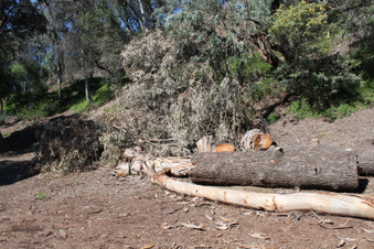 Enlarge photo 43